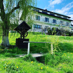 Pensiunea La Maison